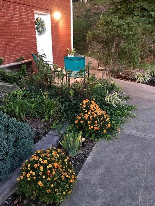 Hilltop Hideaway - 3Bdr In Downtown London, Ky Zewnętrze zdjęcie